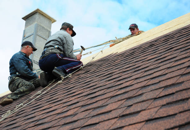 Best Gutter Installation and Roofing  in Nedrow, NY